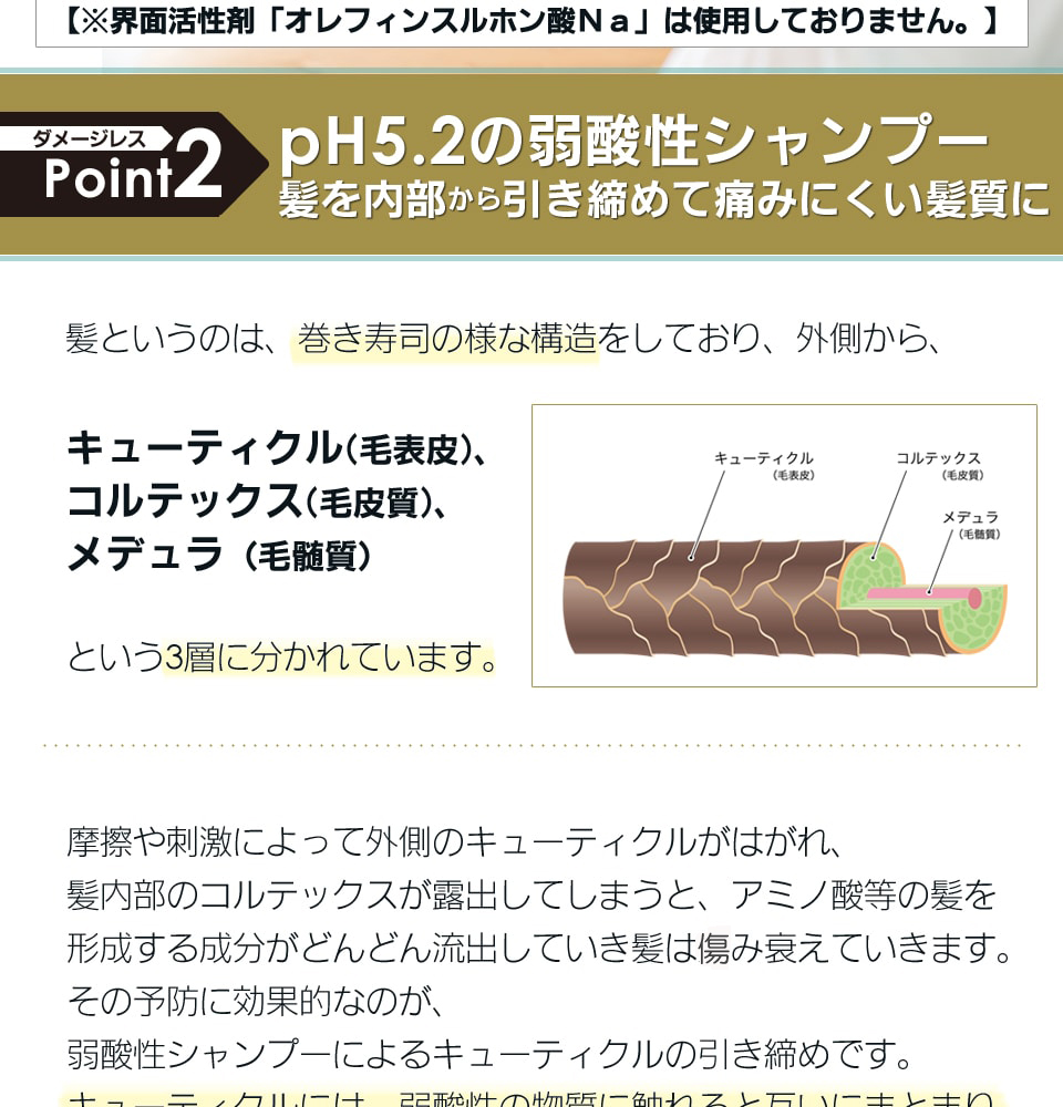 ダメージレスポイント2：pH5.2の弱酸性シャンプー