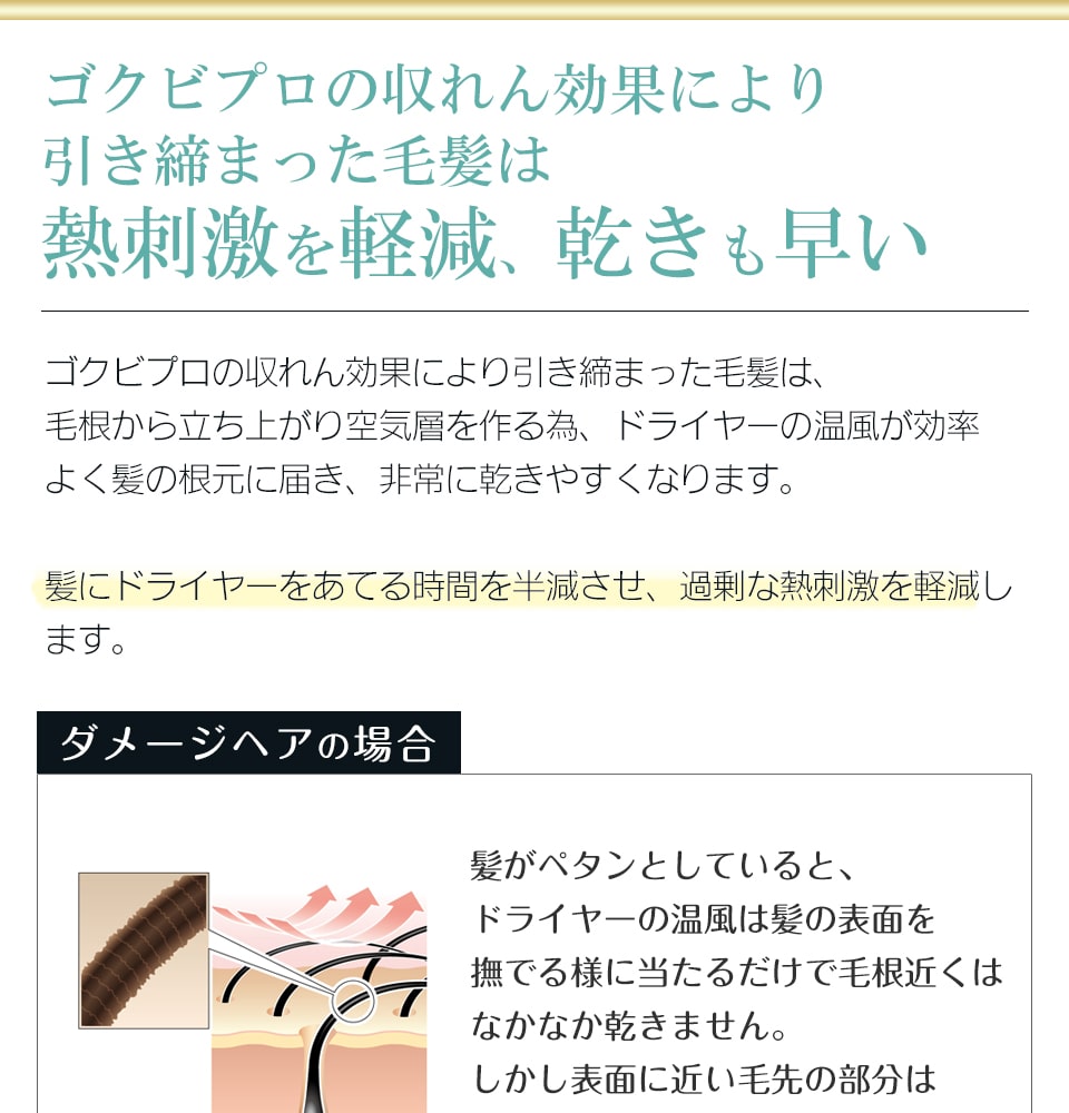 髪が根元から立ち上がり、ドライヤーの時間も半分に
